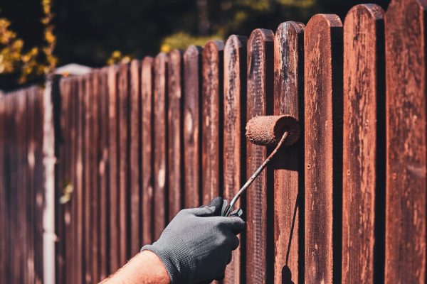 Man in protective gloves is painting wooden fence in bright summer day.